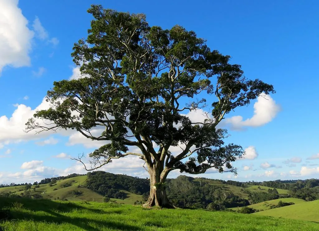 Maleny Springs Farm Guest House