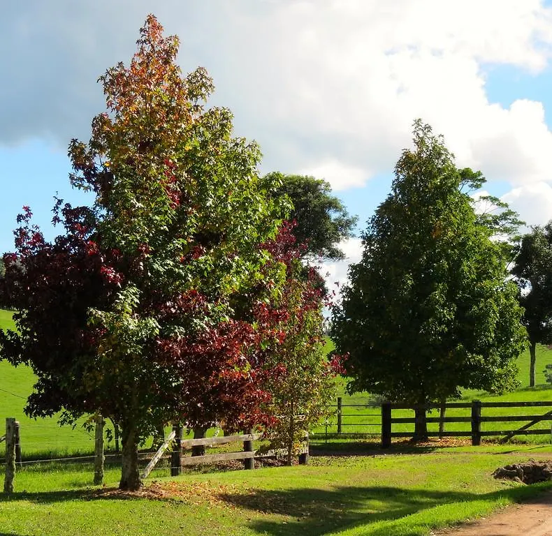 Maleny Springs Farm Guest House Australia