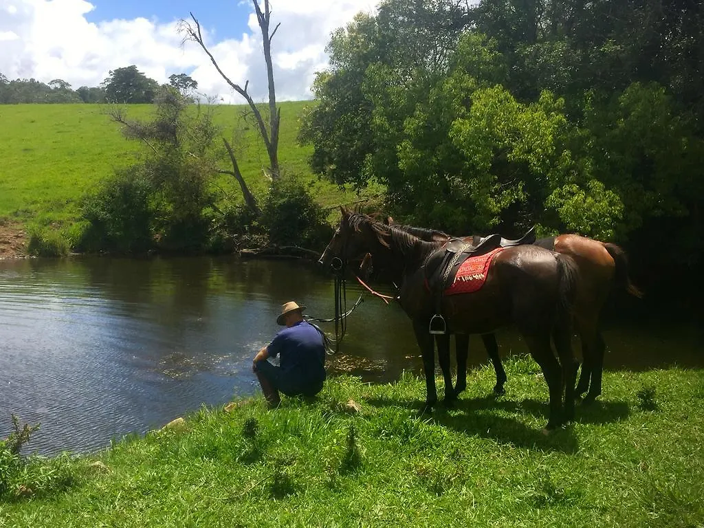 Maleny Springs Farm Guest House 4*,