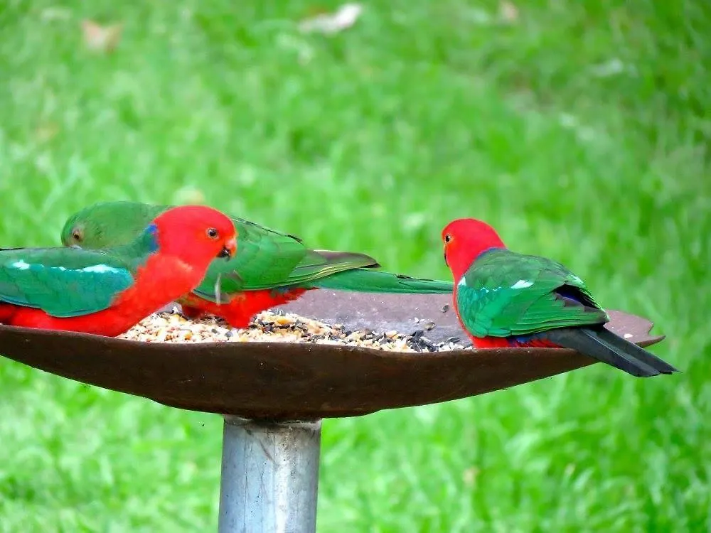 Maleny Springs Farm Guest House