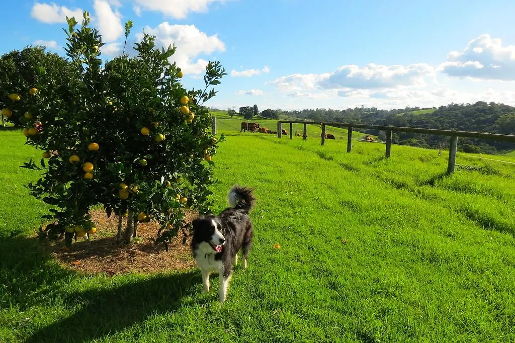 Maleny Springs Farm Guest House
