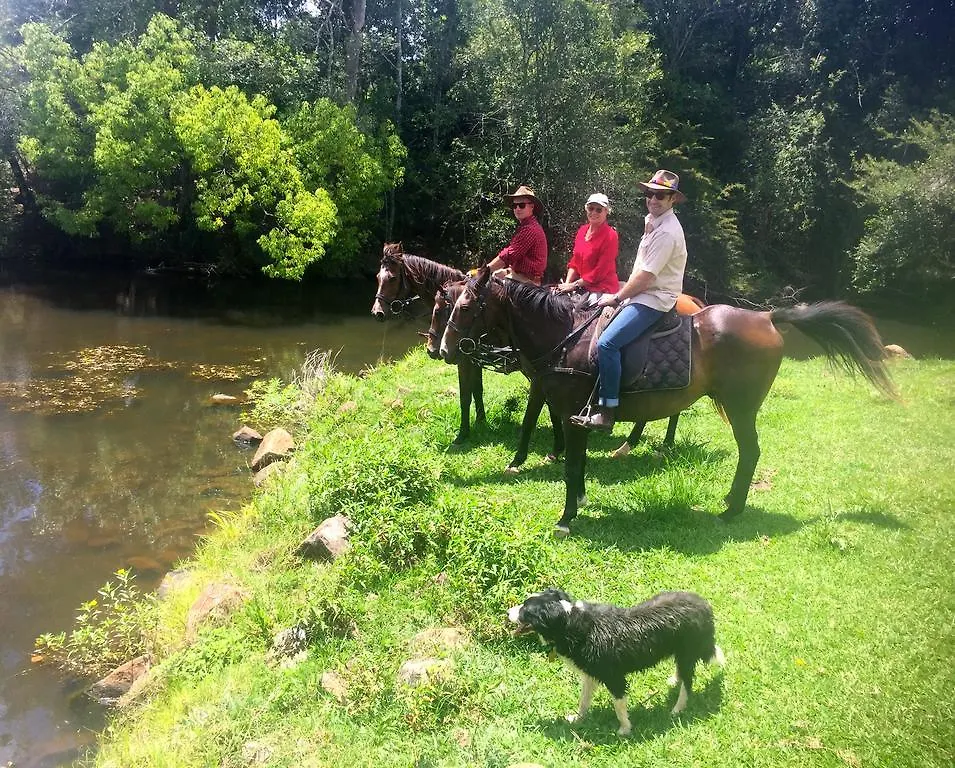 Maleny Springs Farm Guest House Australia